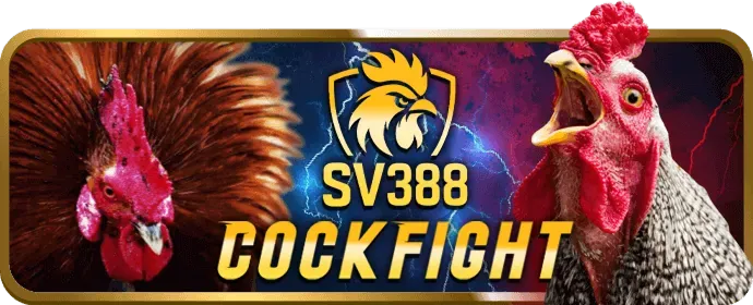Các trò chơi bài hấp dẫn tại AE88 Login